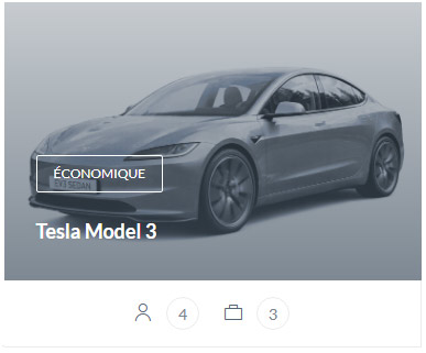 VTC Tesla Model 3