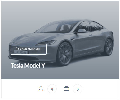 VTC Tesla Model y